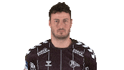Handball-Bundesliga Face Sticker by LIQUI MOLY HBL