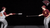 Baseball GIF by CUCougars
