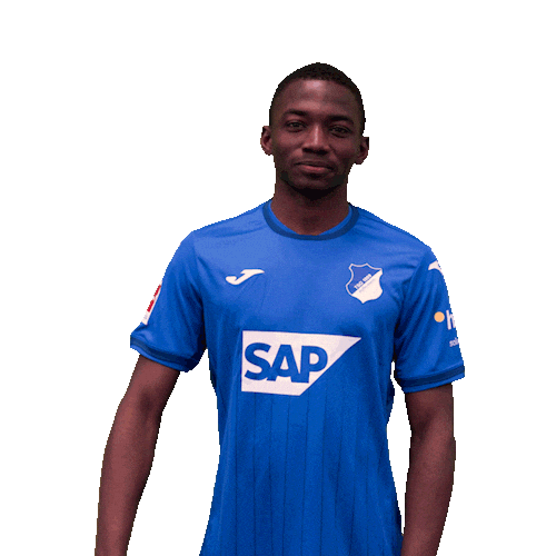 Sport Bundesliga Sticker by TSG Hoffenheim