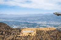 Hollywood GIF by Shark Week