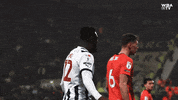 West Brom Football GIF by West Bromwich Albion