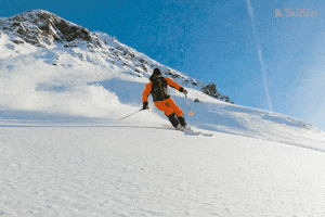 SkiBro skiing skibro GIF