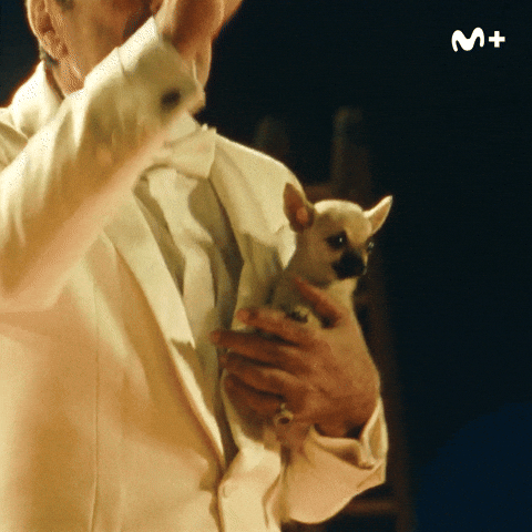 La Cancion Eurovision GIF by Movistar Plus+