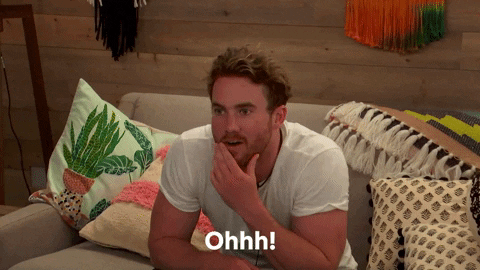 Reality Show Competition GIF by The Circle Netflix (US)