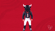 Dance Dancing GIF by Houston Texans