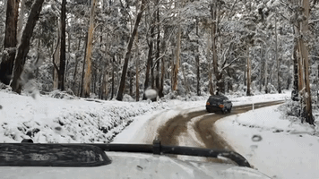 Drivers Navigate Wintry Victoria Bushland During Cold Snap