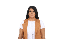 Pv Partidoverde Sticker by Verde Guanajuato