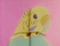 80S Blink GIF