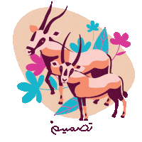 Arabic Coffee Camel Sticker by Tasmeem