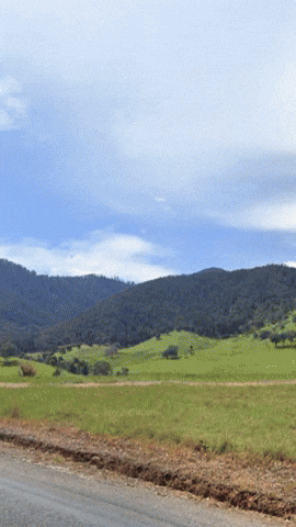 Simongip giphyupload GIF