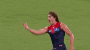 Melbourne Football Club Yes GIF by Melbournefc