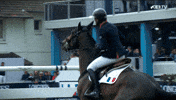 jumping france GIF by FEI Global