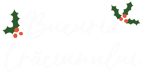 Craciun Vasc Sticker