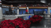 Standing Ovation Robin Baumgarten GIF by WGN Morning News