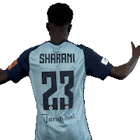 Football Player Sticker by Nike liga