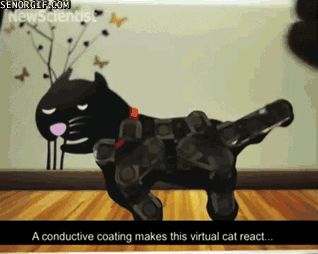 cat GIF