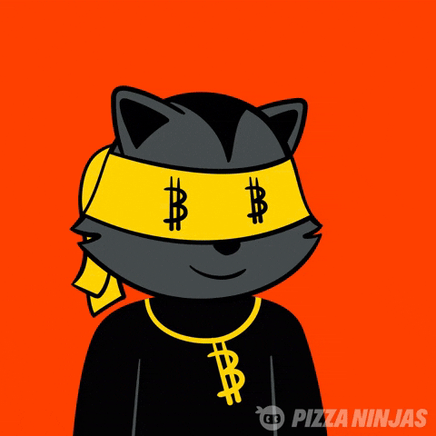 Cat Loop GIF by Pizza Ninjas