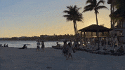Playa Del Carmen GIF by CGTraveler - Carlos Garrido - Adventrgram
