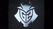 No Idea Wtf GIF by G2 Esports