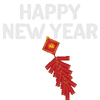 Fireworks Firecracker Sticker by Design Jord