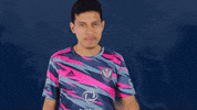Celebrate Usl League One GIF by Tormenta FC