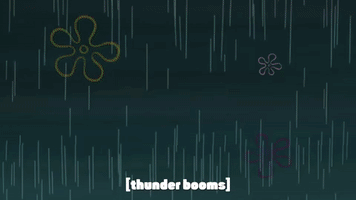season 9 episode 24 GIF by SpongeBob SquarePants