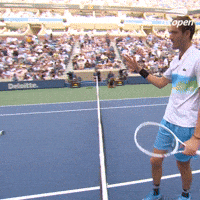 Us Open Tennis Sport GIF by US Open