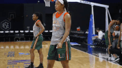 caneswbb GIF by Miami Hurricanes