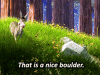 I'm All Alone Donkey GIFs - Find & Share on GIPHY