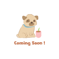 Arriving Coming Soon Sticker by Shopthepaw