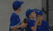 Blue Jays Baseball GIF by Toronto Blue Jays