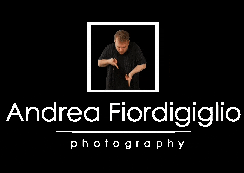 Fiordi GIF by AndreaFiordigiglio