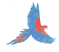deloreta jungle parrot dolphin puma Sticker