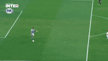 Paolo Guerrero Colorado GIF by Sport Club Internacional