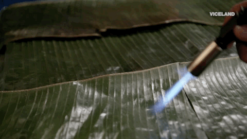 viceland GIF by Bong Appétit