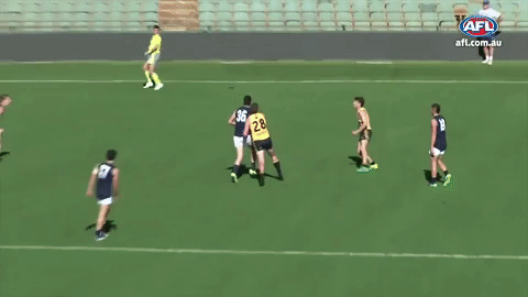 tom joyce draft GIF by AFL
