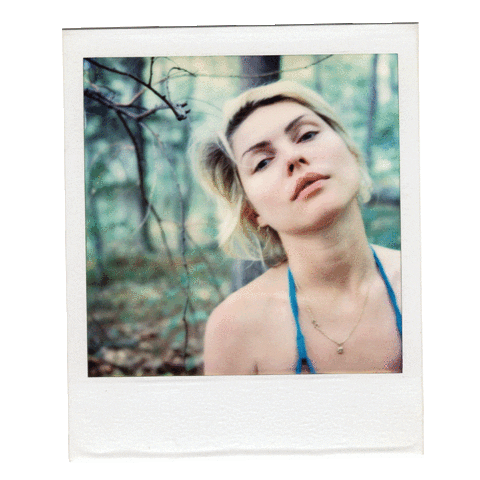 faceitdebbieharry blonde punk sing polaroid Sticker