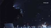 festival stage GIF by NOISEY