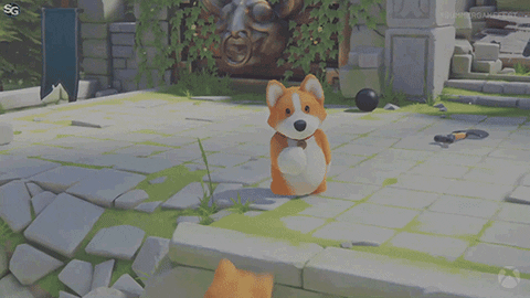 Get Back Cat GIF by Xbox