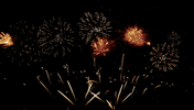 Happy New Year GIF by Vinnie Camilleri