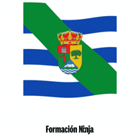 Castilla Y Leon Flag GIF by Formación Ninja