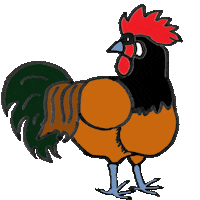 Rooster Hahn Sticker