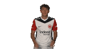 Eintracht Frankfurt Omg Sticker by Bundesliga