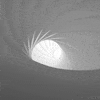 pislices loop 3d trippy black and white GIF