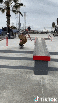 Skate Skating GIF by TikTok Italia