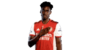 Celebrate Premier League Sticker by Arsenal