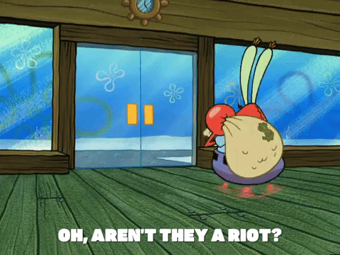 season 5 GIF by SpongeBob SquarePants