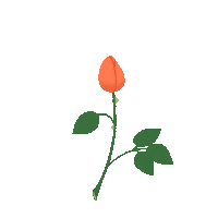 rose flowers Sticker by Quinn the Fox