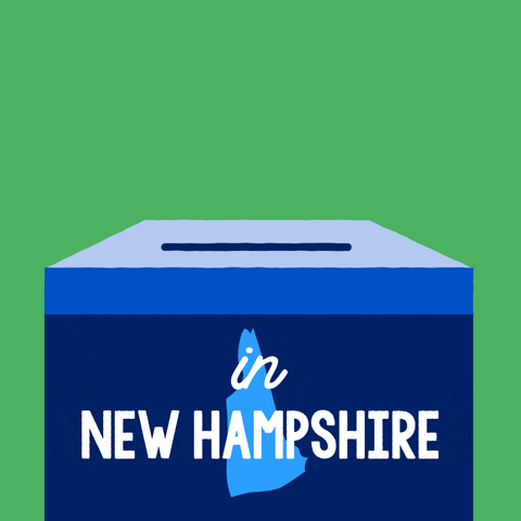 Voting New Hampshire GIF by #GoVote