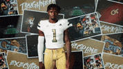 Georgia Tech Football GIF by Georgia Tech Yellow Jackets